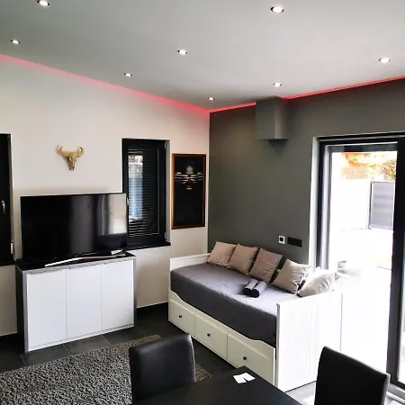 Luxory Minimal House Villa Siófok